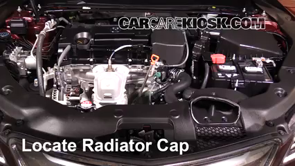 Coolant Flush How-to: Acura TLX (2015-2020) - 2015 Acura TLX 2.4L 4 Cyl.